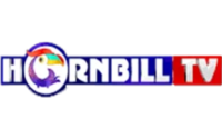 Hornbill TV